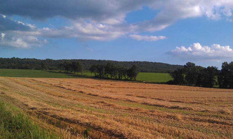 Gauker Farms photo 3