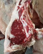 Gauker Farms photo 14